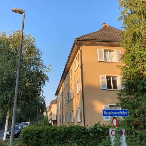 Libellenstrasse_2020_8.jpeg