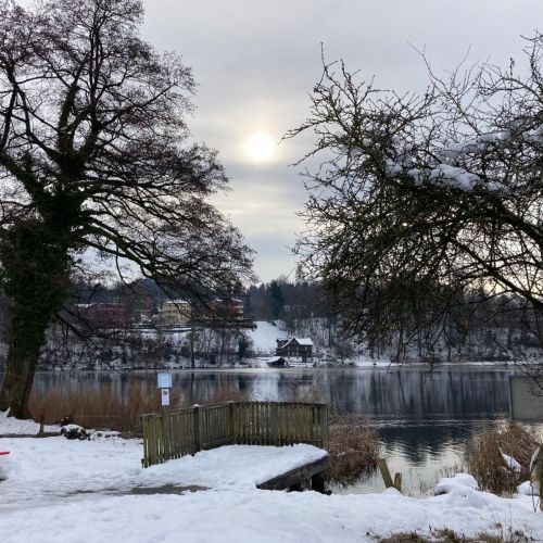 Rotsee_2020_20_Winter.jpeg